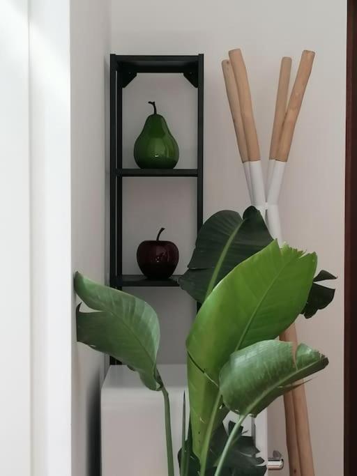 Appartement New Cozy 7 Metro Stops To Duomo! Milan